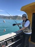 新西兰南北岛悠闲玩乐十天深度游 行程图片